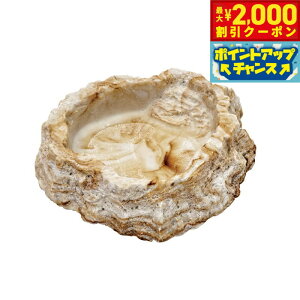 y2000~OFFN[|IX|Cgő52{I{IzXh[ veB{E2 SF