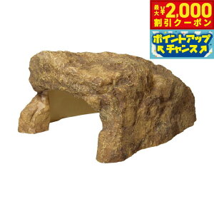 y2000~OFFN[|IX|Cgő52{I{IzXh[ bNVF^[SP ML