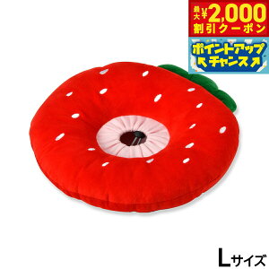 y2000~OFFN[|IX|Cgő52{I{IzSolgra  y[uJ[NbV L bh GUxXJ[  L \tg _炩