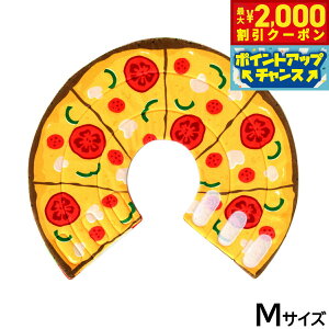 y2000~OFFN[|IX|Cgő52{I{IzSolgra sU y[uJ[ M IW GUxXJ[  L \tg _炩