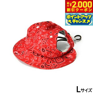 y2000~OFFN[|IX|Cgő52{I{Iz\O SOLGRA ̖Xq yCY[ L bh t@bV  M΍ O