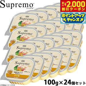 y2000~OFFN[|IX|Cgő52{I}\Izj[g Vv J[PA qp 100g×24 NUTOR hbOt[h EFbg Y  pi ybgpi ͂ v