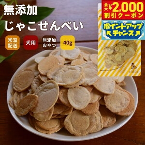 y2000~OFFN[|IX|Cgő52{I{IzGLORY DOGEARTH Y Ⴑׂ 40g