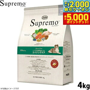 yő2000~OFFN[||Cg+5{zj[g Vv hbOt[h ^`^ VjAp 4kg NUTOR hbOt[h Y  ybgpi [SP-SE]