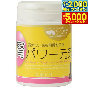 yő2000~OFFN[||Cg+5{zO[[hbOA[X Tvg tp[C 90g  t Y_Ȃgp IK3 RGUCQ10 L yz