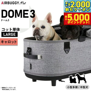 yő2000~OFFN[||Cg+5{zGAoM[ h[3 Rbg GAoM[ P [W LbgyzAIRBUGGY ybgJ[g  L AD2505