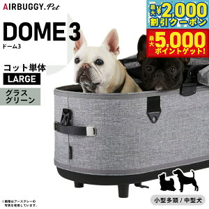 yő2000~OFFN[||Cg+5{zGAoM[ h[3 Rbg P [W OXO[yzAIRBUGGY ybgJ[g  L AD2509