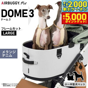 yő2000~OFFN[||Cg+5{zGAoM[ h[3 [W GAoM[ u[L Wfj AIRBUGGY ybgJ[g  L  ܂肽 AD2602