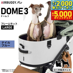 yő2000~OFFN[||Cg+5{zGAoM[ h[3 [W GAoM[ u[L [W L iCu[ AIRBUGGY ybgJ[g  L  ܂肽 AD2608