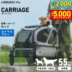 yő2000~OFFN[||Cg+5{zGAoM[ tH[ ybg LbWiCARRIAGEj Zbgiԁ{[tj Cu[ ybgJ[g AIRBUGGY AD3052