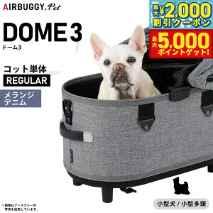 yő2000~OFFN[||Cg+5{zGAoM[ h[3 Rbg P M[ WfjyzAIRBUGGY ybgJ[g  L AD3102