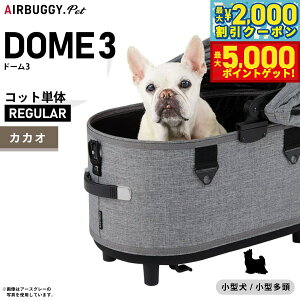 yő2000~OFFN[||Cg+5{zGAoM[ h[3 Rbg GAoM[ P M[ JJIyzAIRBUGGY ybgJ[g  L AD3106