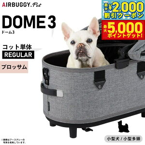 yő2000~OFFN[||Cg+5{zGAoM[ h[3 Rbg GAoM[ P M[ ubTyzAIRBUGGY ybgJ[g  L AD3110