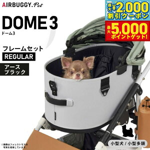 yő2000~OFFN[||Cg+5{zGAoM[ h[3 M[ GAoM[ u[L A[XubN AIRBUGGY ybgJ[g  L  ܂肽 AD3201