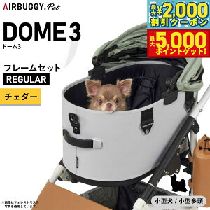 yő2000~OFFN[||Cg+5{zGAoM[ h[3 M[ GAoM[ u[L `F_[AIRBUGGY ybgJ[g  L  ܂肽 AD3204