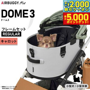 yő2000~OFFN[||Cg+5{zGAoM[ h[3 M[ GAoM[ u[L LbgAIRBUGGY ybgJ[g  L  ܂肽 AD3205