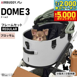 yő2000~OFFN[||Cg+5{zGAoM[ tH[ ybg h[3 Zbg M[ ubT AIRBUGGY ybgJ[g  L  ܂肽 AD3210