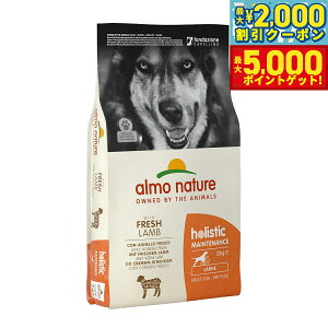 yX|Cgő46{I1118IzAlC`[ hbOt[h zXeBbNhCt[h ^p  12kg  hCt[h h{H 