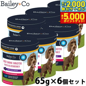 yő2000~OFFN[||Cg+5{zxC[R[ Bailey{Co t[YhC Tvg r[t {[ uX u[x[ 65g×6Zbg X[v ӂ肩 gbsO A~m_