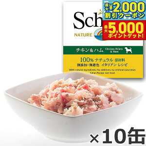 yő2000~OFFN[||Cg+5{zSchesiriVVAjhbOV[Y [[^Cv `Ln 150g×10 hbOt[h EFbgt[h ʋl Y pi/ybgpi