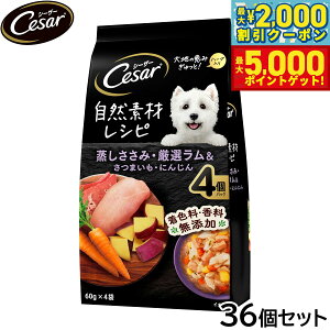 yő2000~OFFN[||Cg+5{zV[U[ hbOt[h pE` p RfރVs  I܂ ɂ񂶂 60g×4×36Zbgyz ʋl