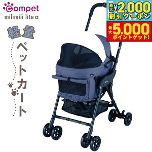 yő2000~OFFN[||Cg+5{zRybg ~~Cg At@ ybgJ[g [{ElCr[ ^ L  ܂ ybgoM[ J[g y