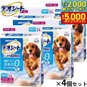 yő2000~OFFN[||Cg+5{zj `[ fIV[g 蒴z L^Cv Ch 54×4Zbg ybgV[c gCV[c p