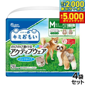 yX|Cgő46{I1118IzGG[ L~ ANeBuEFA M-L 26×4܁yz