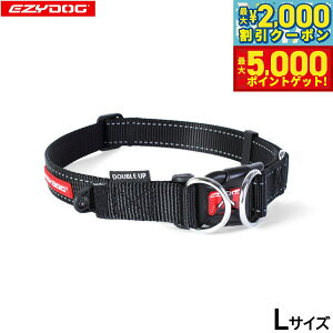 yő2000~OFFN[||Cg+5{zC[W[hbO EZYDOG _ubNJ[ L ubN  2dŒ  ^