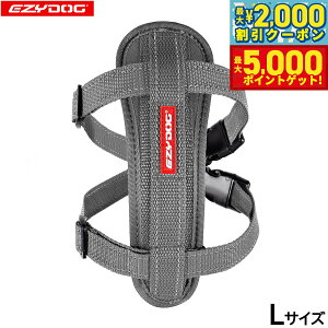 yő2000~OFFN[||Cg+5{zC[W[hbO EZYDOG n[lX L OCyz `FXgv[g   ^