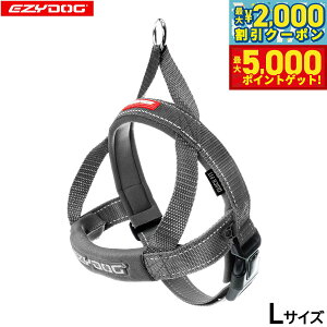 yX|Cgő46{I1118IzC[W[hbO EZYDOG NCbNn[lX L OCyz ȒP  ^