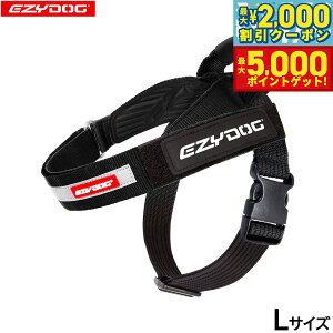 yő2000~OFFN[||Cg+5{zC[W[hbO EZYDOG GNXvXn[lX L ubNyz nht  ^