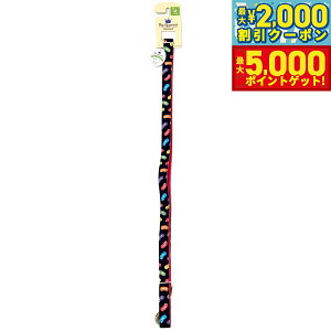 yő2000~OFFN[||Cg+5{ztF[N |bvfUC[h r[Y M ^