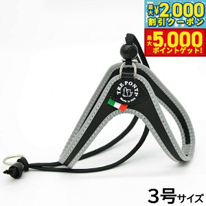 yX|Cgő46{I1118Izg|eB TREPONTI x^ tNeBu ^pn[lX 3 ubN