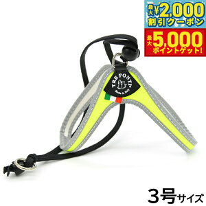 yX|Cgő46{I1118Izg|eB TREPONTI x^ tI ^pn[lX 3 CG[