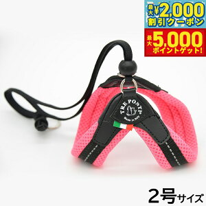 yő2000~OFFN[||Cg+5{zg|eB TREPONTI x^ \tgbV ^pn[lX 2 sN