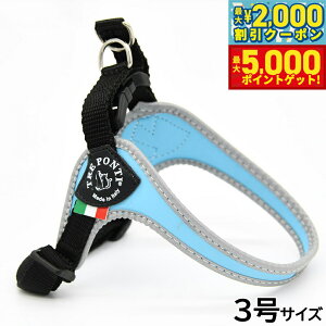 yX|Cgő46{I1118Izg|eB TREPONTI tBbrA AWX^u^Cv tNeBu n[lX 3 XJCu[