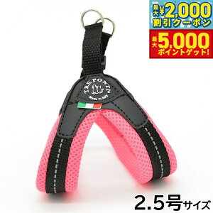 yő2000~OFFN[||Cg+5{zg|eB TREPONTI tBbrA \tgbV ^pn[lX 2.5 sN