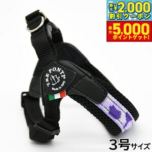 yX|Cgő46{I1118Izg|eB TREPONTI tBbrA AWX^u^Cv yj[RNV n[lX 3 p[vJ