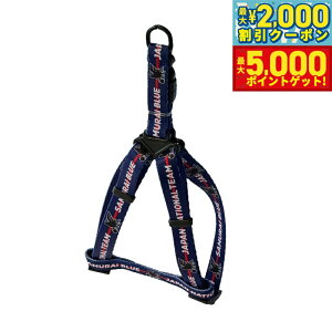 yX|Cgő46{I1118Izt@^W[[h TbJ[{\ TCu[ n[lX TbJ[{\ItBVCZXObY