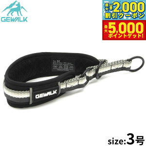 yX|Cgő46{I1118IzWEH[N GEWALK n[t`[Niցj 3 ubN