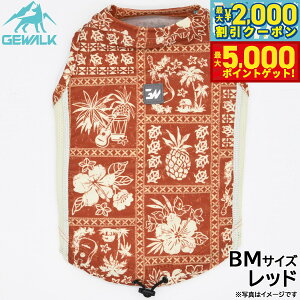 yő2000~OFFN[||Cg+5{zWEH[N GEWALK nCA pb`[N vg ANeBu TVF[h ^Ngbv BM bh  hbOEFA ybgEFA