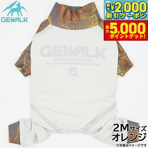 yX|Cgő46{I1118IzWEH[N GEWALK [t vg }CiX t[WO p[X 2M IW  hbOEFA ybgEFA