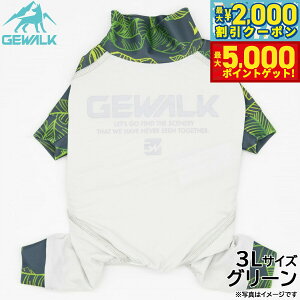 yő2000~OFFN[||Cg+5{zWEH[N GEWALK [t vg }CiX t[WO p[X 3L O[  hbOEFA ybgEFA