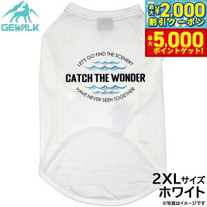 yő2000~OFFN[||Cg+5{zWEH[N GEWALK Z^[ EF[u vg OtBbN TVc 2XL zCg  hbOEFA ybgEFA