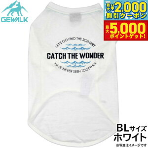 yő2000~OFFN[||Cg+5{zWEH[N GEWALK Z^[ EF[u vg OtBbN TVc BL zCg  hbOEFA ybgEFA