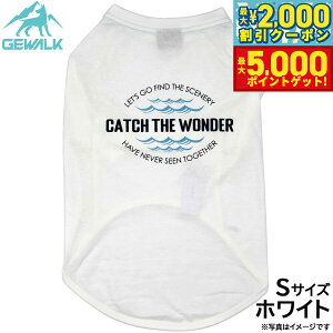 yő2000~OFFN[||Cg+5{zWEH[N GEWALK Z^[ EF[u vg OtBbN TVc S zCg  hbOEFA ybgEFA