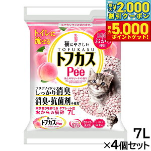 yő2000~OFFN[||Cg+5{zyOebN gtJXPee 7L×4Zbg