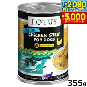 yő2000~OFFN[||Cg+5{z[^X hbOt[h OCt[ EFbgt[h `LAXpKX V`[ 355g Y ʋl