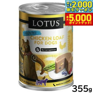 yő2000~OFFN[||Cg+5{z[^X hbOt[h OCt[ EFbgt[h `L [t 355g Y ʋl